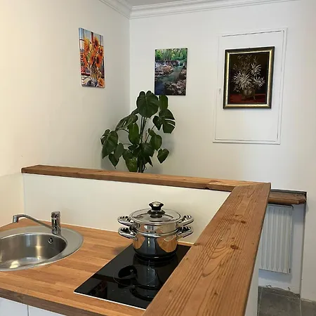Comfortes 2 Betten-zimmer In Wiblingen Apartment *