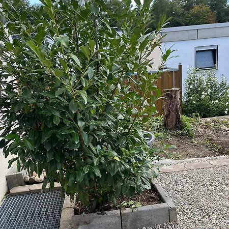 Apartment Comfortes 2 Betten-zimmer In Wiblingen