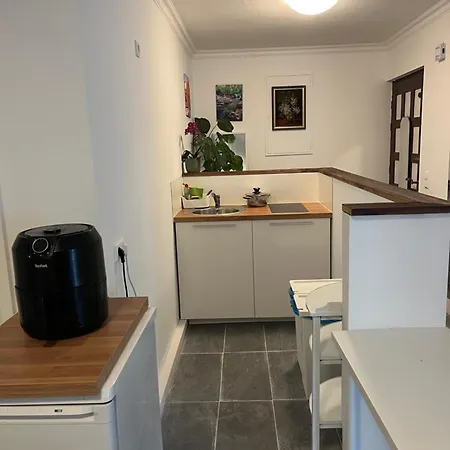 Comfortes 2 Betten-zimmer In Wiblingen Apartment